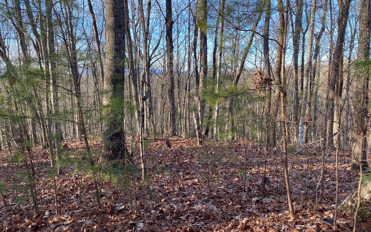 Lot9 Price Road Blue Ridge, GA 30513 - Photo 2 of 2 Additional View