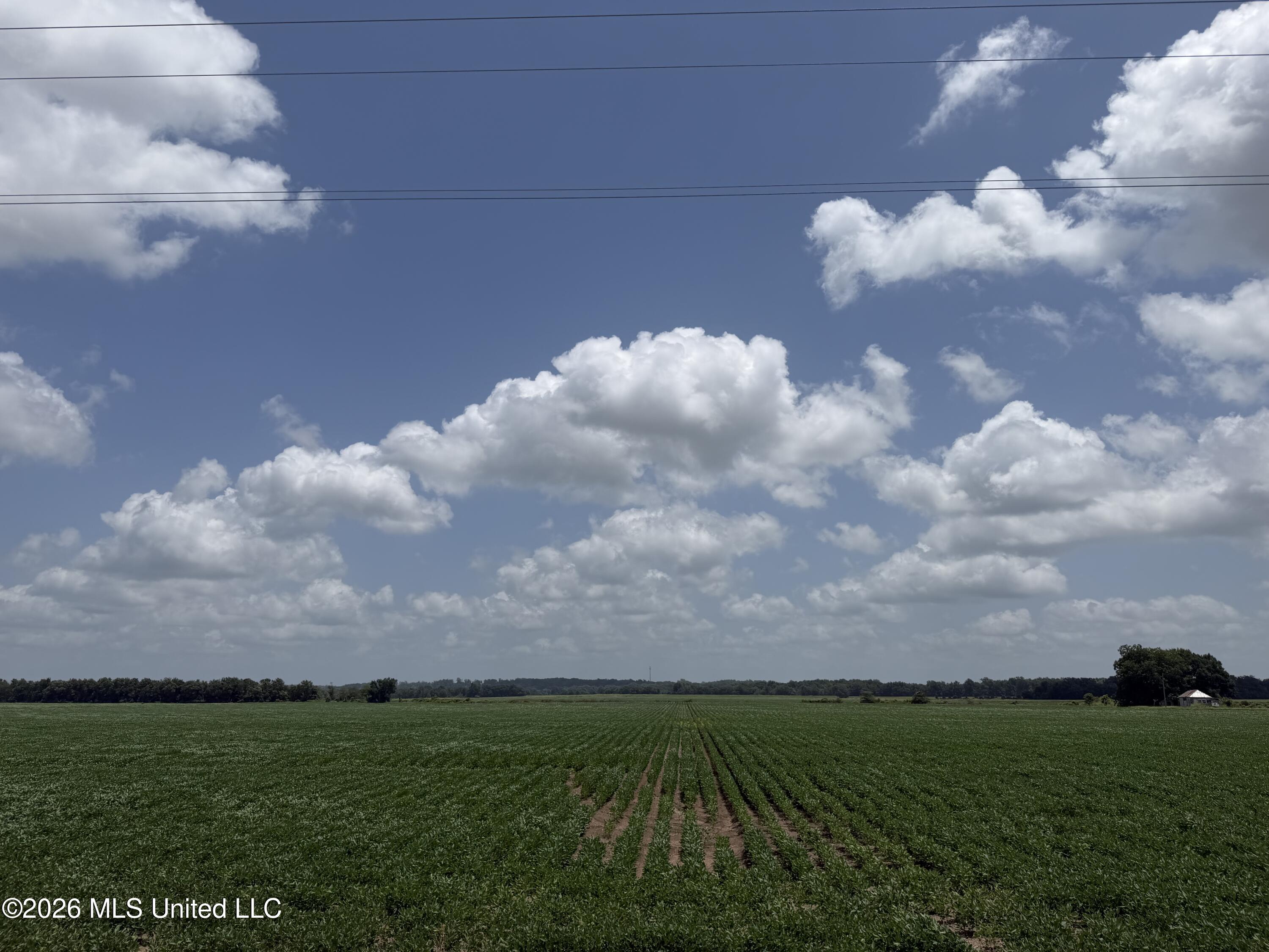 Hot Thornton Road Tunica, MS 38676 - Photo 23 of 29 Photo Jun 29 2026, 12 59 33 PM