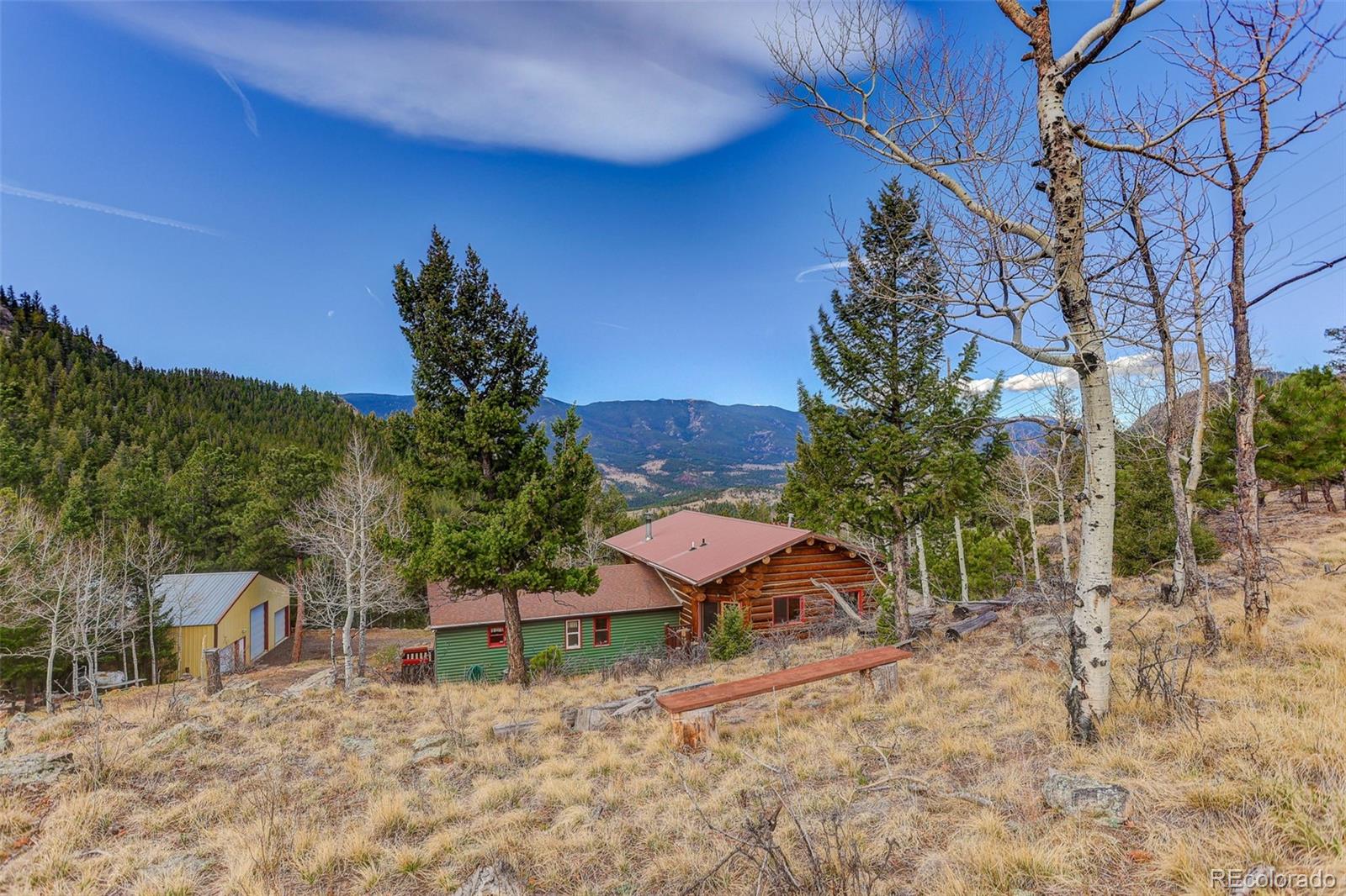 626 Aspen Lane Bailey, CO 80421 - Photo 1 of 47 a view of a backyard with plants and a tree