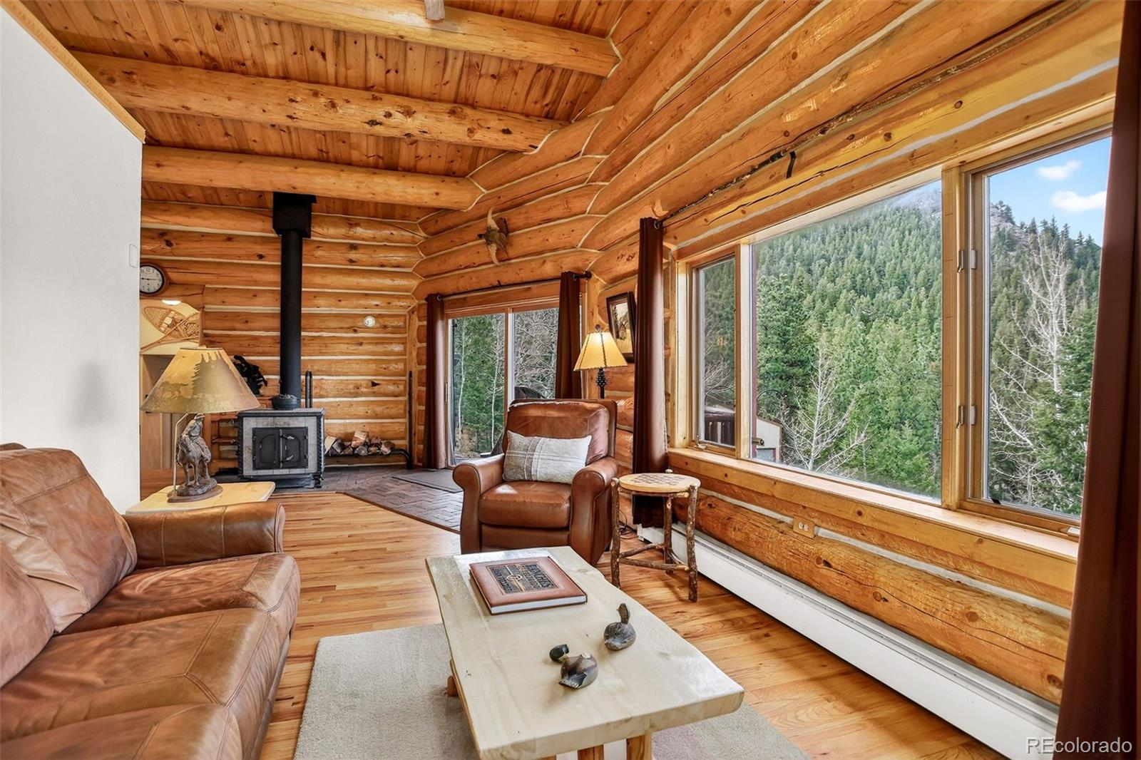 626 Aspen Lane Bailey, CO 80421 - Photo 23 of 47 a living room with furniture a large window