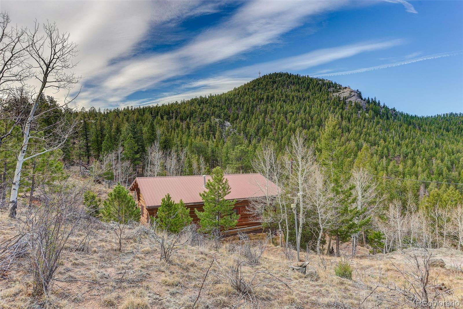 626 Aspen Lane Bailey, CO 80421 - Photo 3 of 47 a backyard of a house with lots of green space