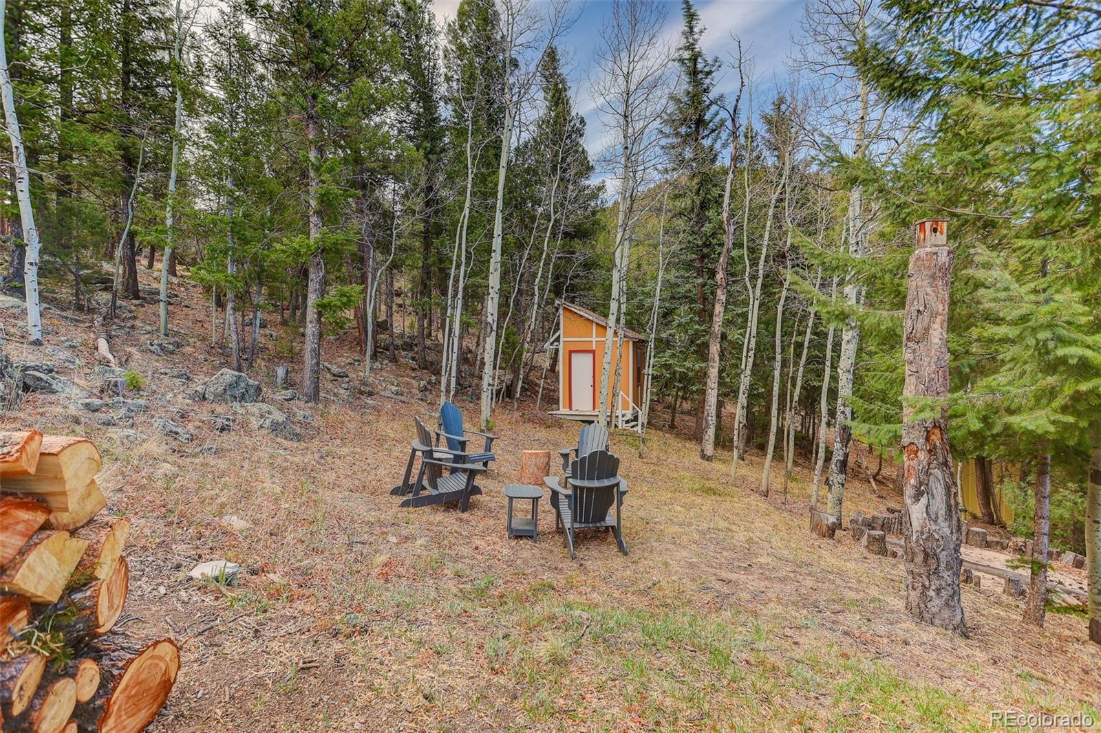 626 Aspen Lane Bailey, CO 80421 - Photo 41 of 47 a backyard of a house with table and chairs