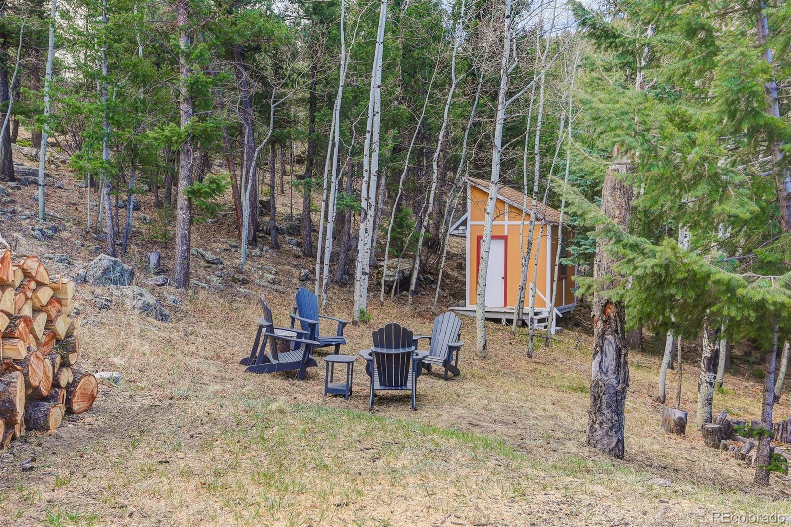 626 Aspen Lane Bailey, CO 80421 - Photo 42 of 47 a backyard of a house with table and chairs