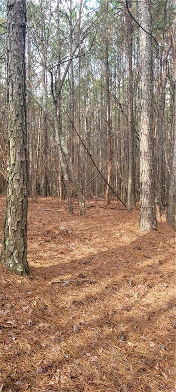 0 Allen Street Rome, GA 30165 - Photo 1 of 1 a view of empty room with trees