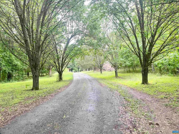 a view of a yard with a tree
