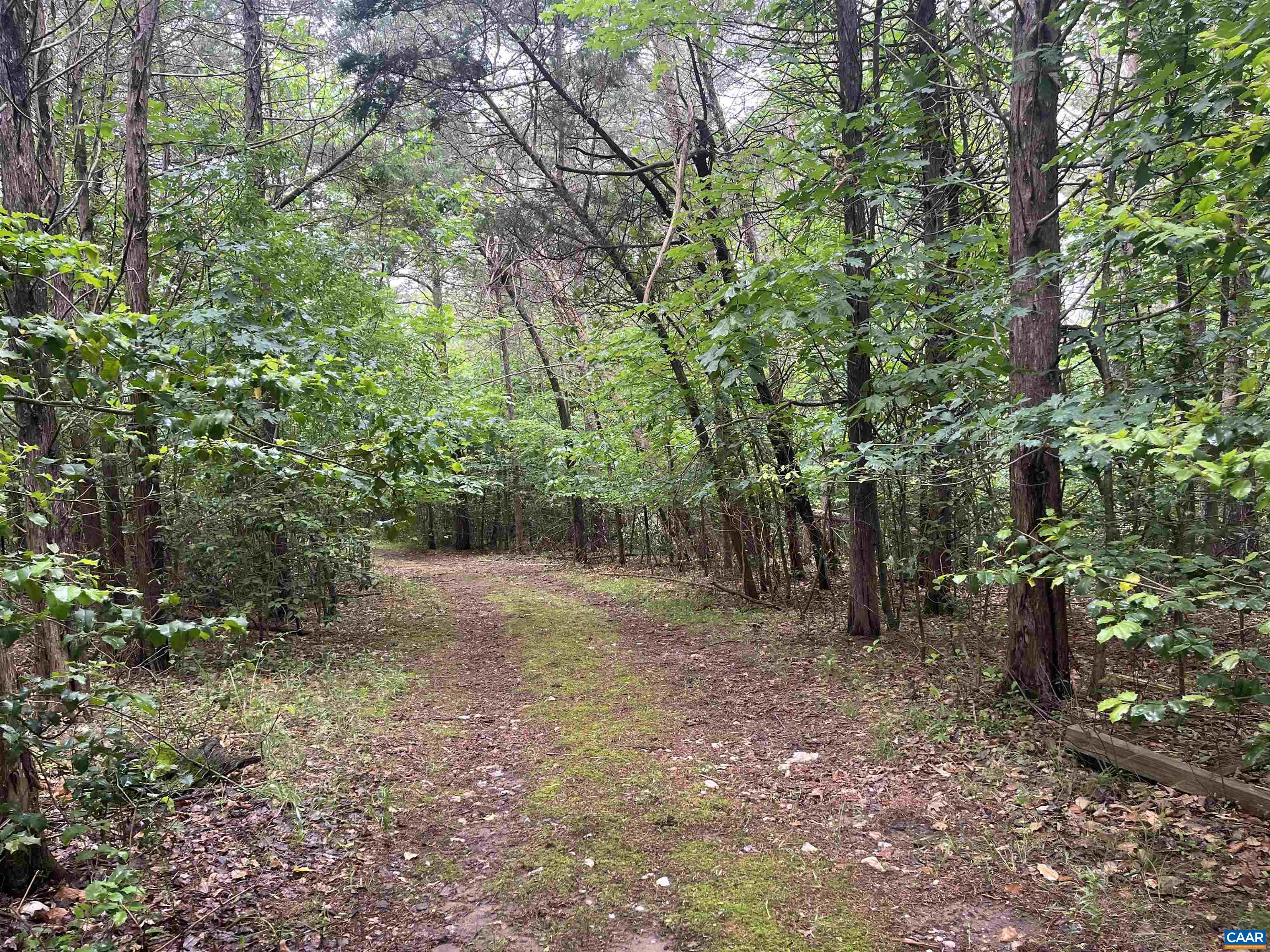 5878 A Buffalo River Road Earlysville, VA 22936 - Photo 6 of 7 a backyard of a house with lots of green space
