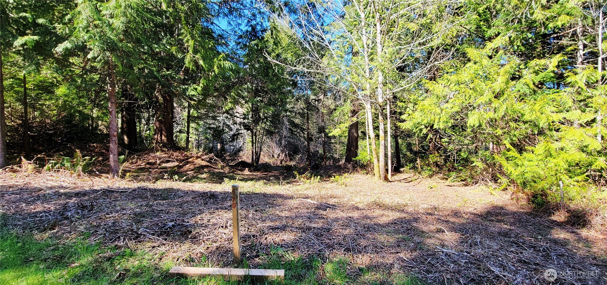170 East Sprague Union Union, WA 98592 - Photo 2 of 7 a view of a yard with plants and trees