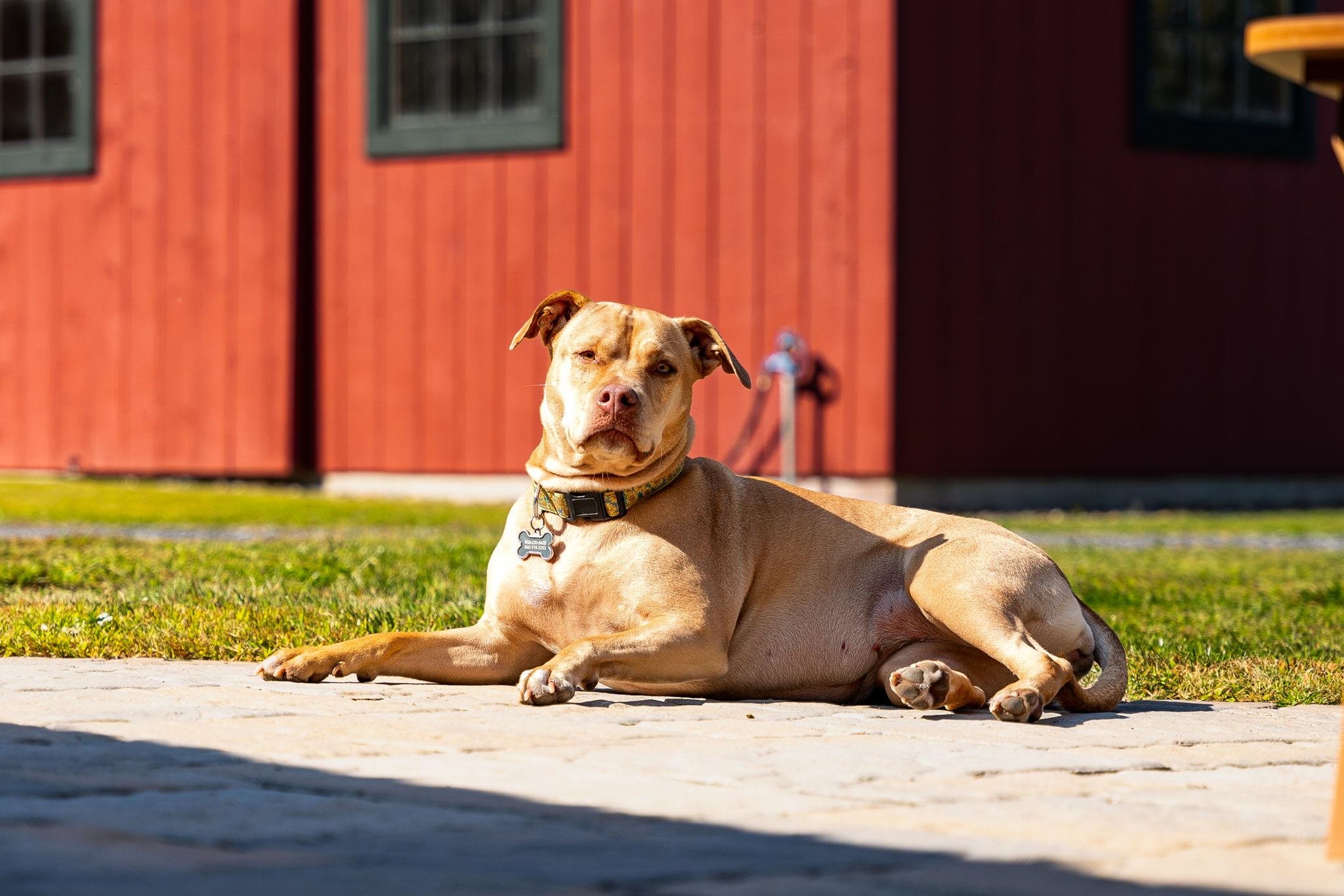 1779 Bible Hill Road West Windsor, VT 05037 - Photo 53 of 60