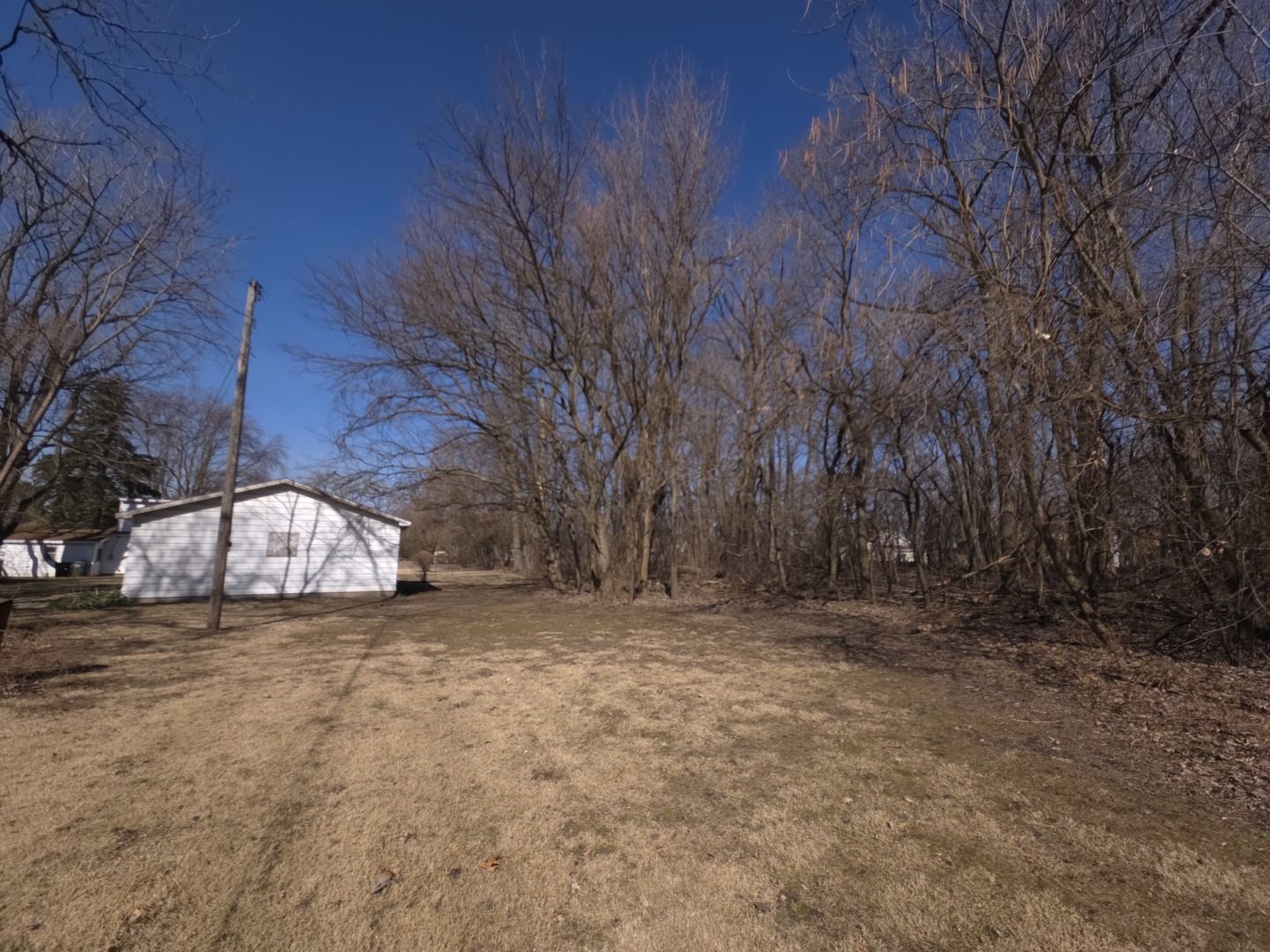 1021 173rd Street Hazel Crest, IL 60429 - Photo 4 of 24 a view of a outdoor space with trees