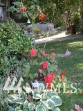 8792 Southeast Overaa Road Port Orchard, WA 98367 - Photo 18 of 18 Gallery Image 18