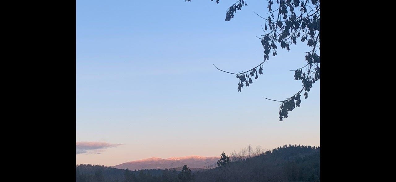 998 B Artman-Gibson Road Colville, WA 99114 - Photo 2 of 50