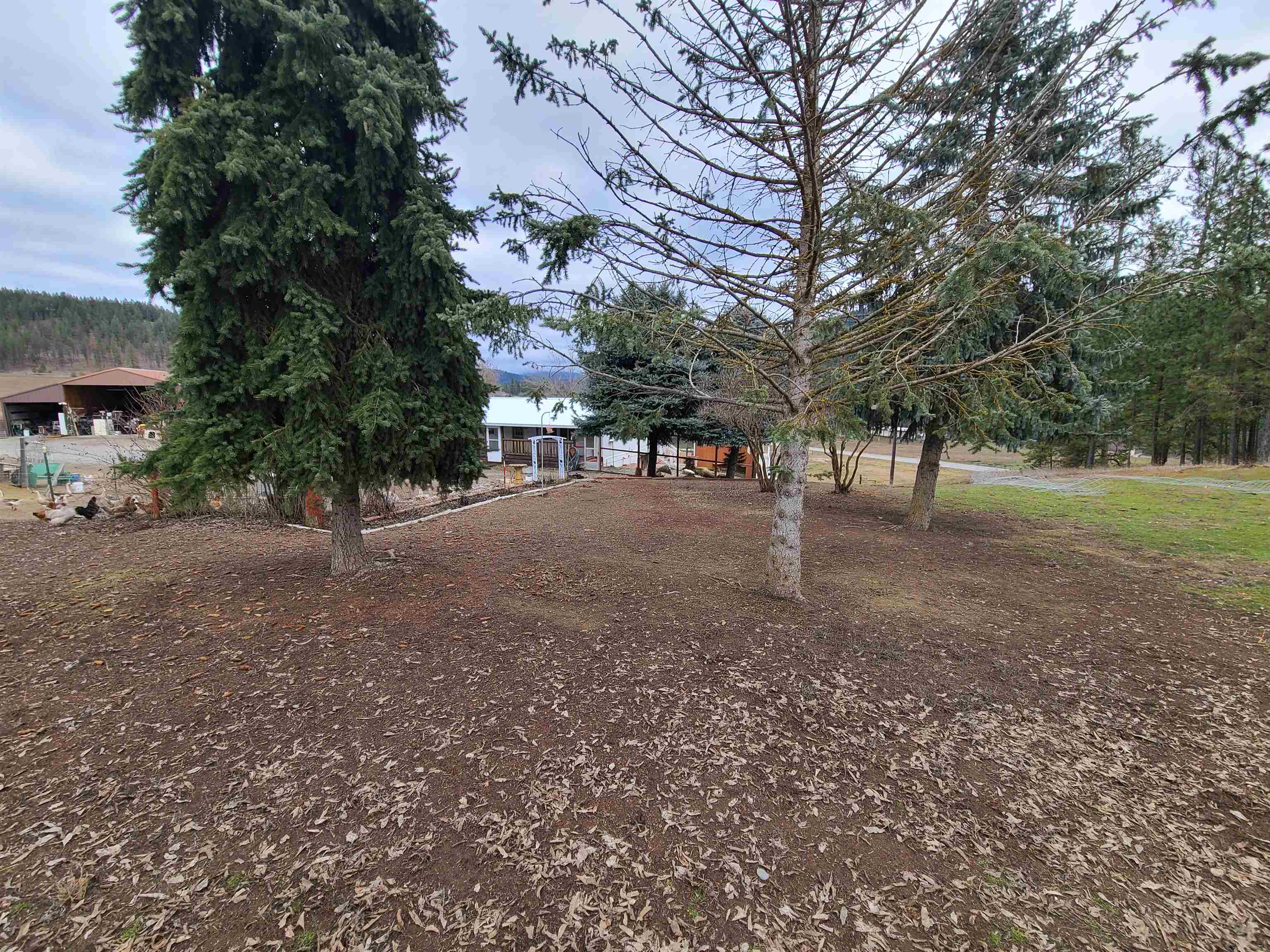 998 B Artman-Gibson Road Colville, WA 99114 - Photo 21 of 50