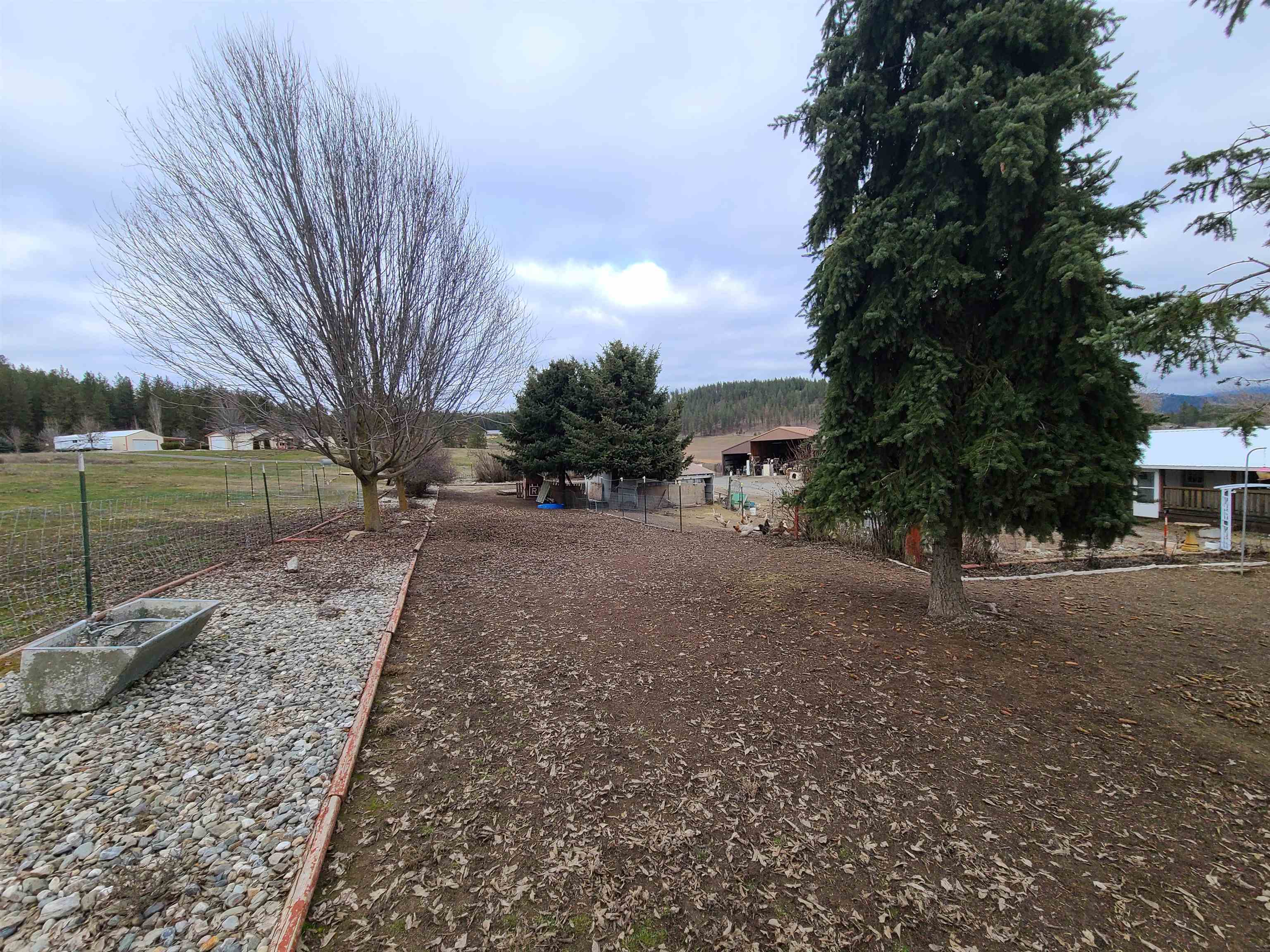 998 B Artman-Gibson Road Colville, WA 99114 - Photo 22 of 50