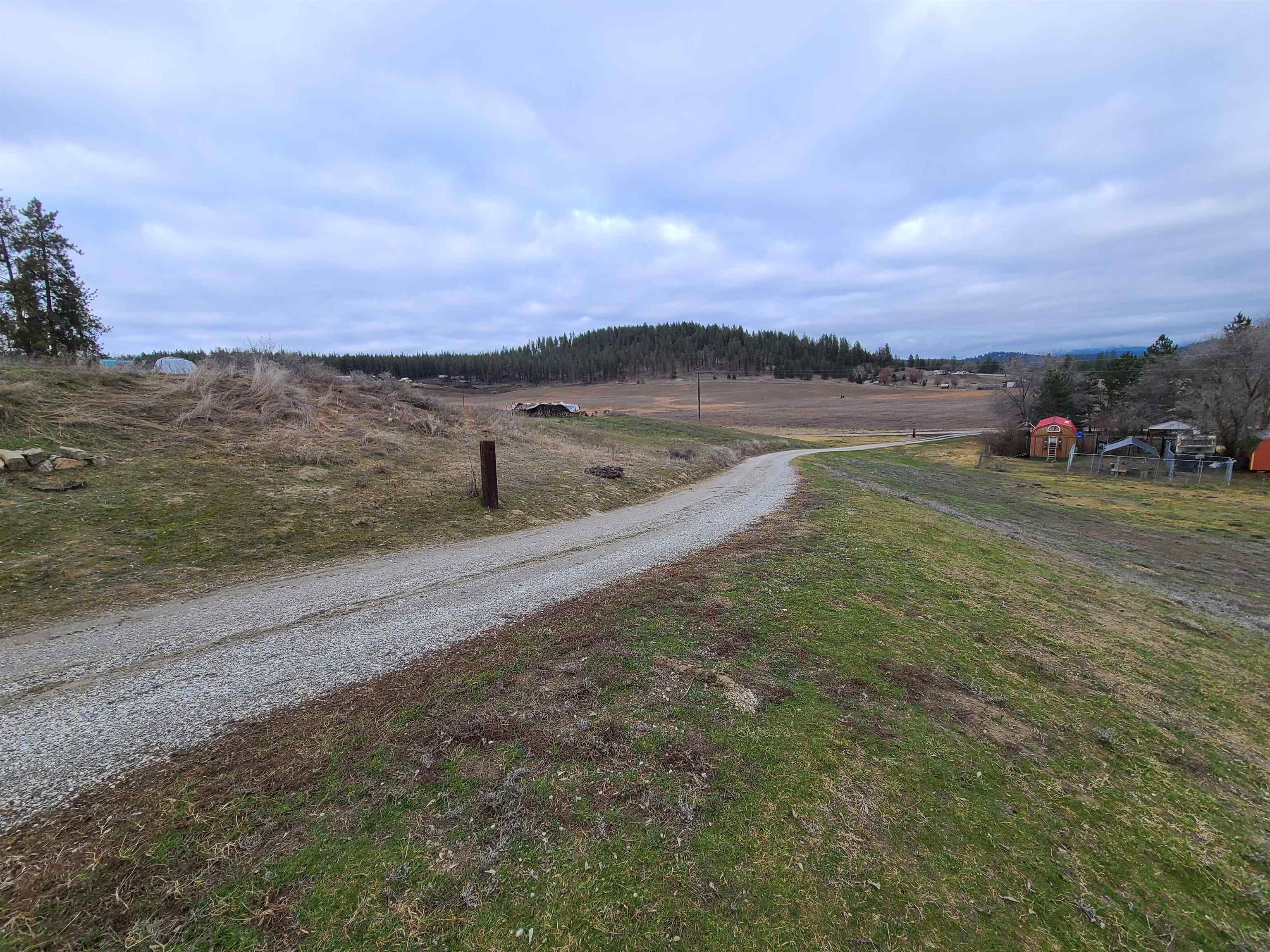 998 B Artman-Gibson Road Colville, WA 99114 - Photo 3 of 50