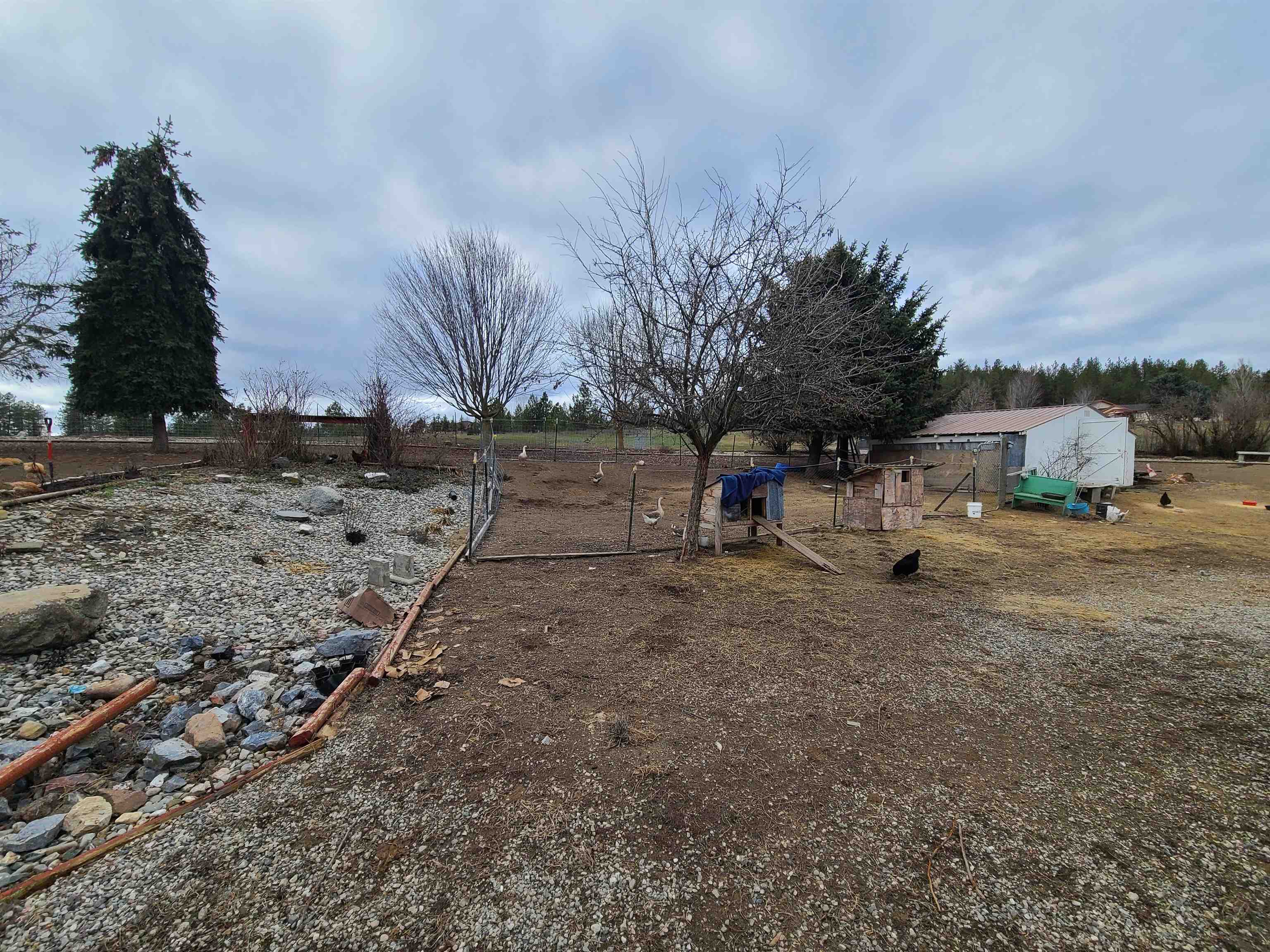 998 B Artman-Gibson Road Colville, WA 99114 - Photo 42 of 50