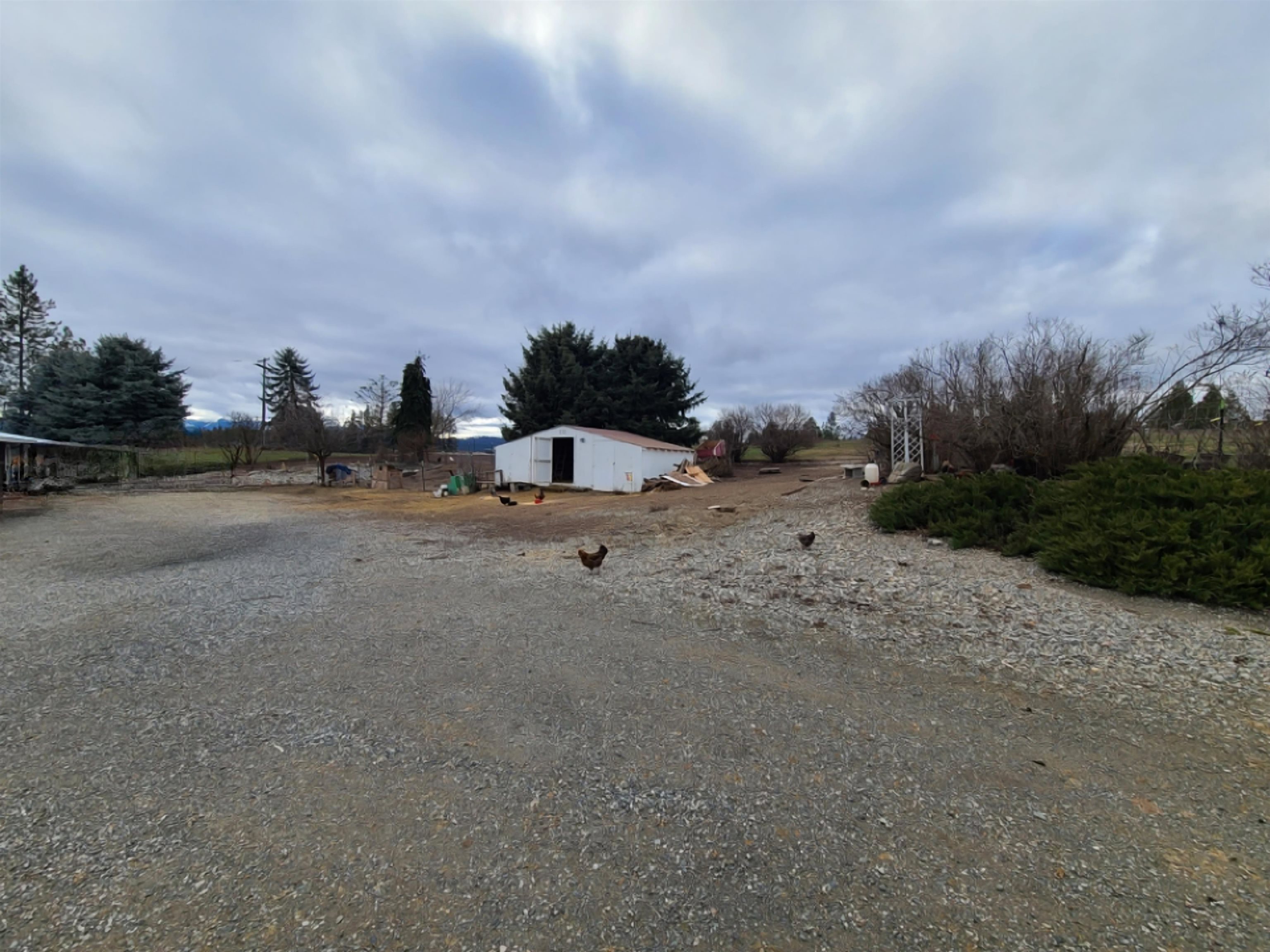 998 B Artman-Gibson Road Colville, WA 99114 - Photo 47 of 50