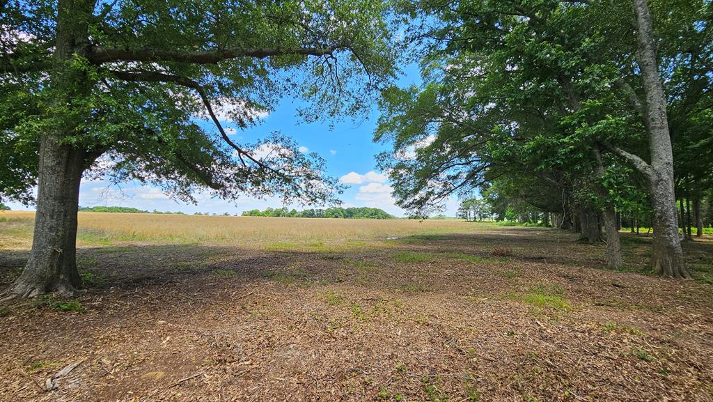 92 County Road 92 Slocomb, AL 36375 - Photo 47 of 58