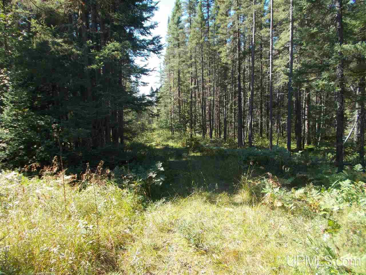 80-acres Co Rd Ffw Republic, MI 49879 - Photo 18 of 21