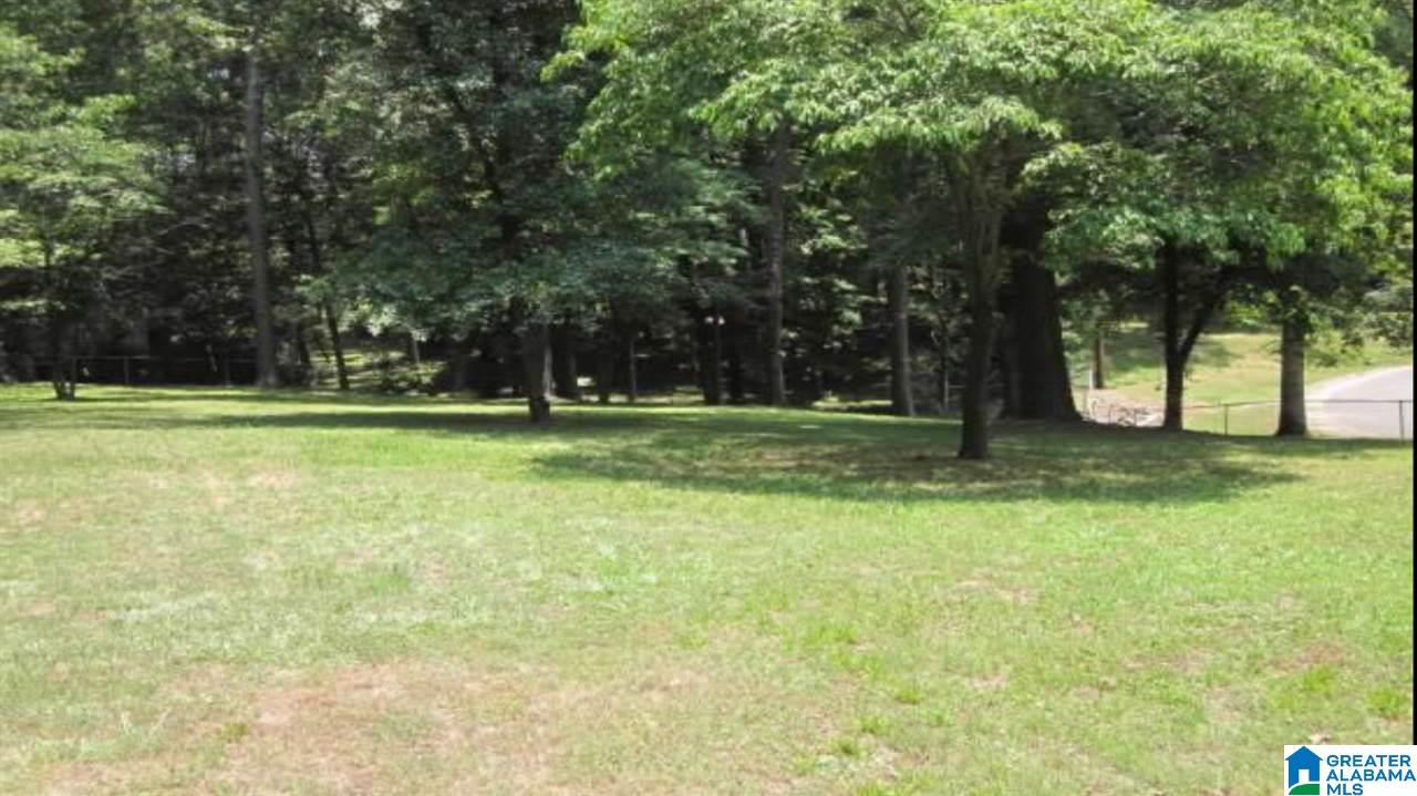 839 Westwood Road Mount Olive, AL 35117 - Photo 2 of 18