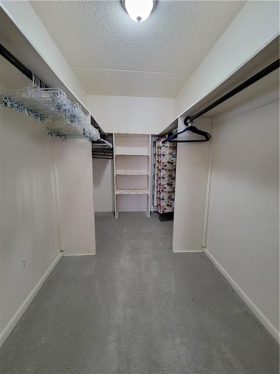 2120 Greentree Road, Unit 100E Pittsburgh, PA 15220 - Photo 13 of 25 a view of walk in closet with clothes