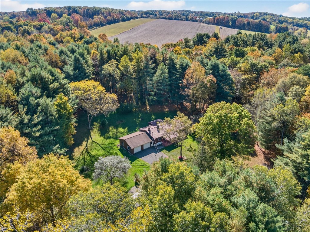 297 Creek Road Lansing, NY 13073 - Photo 29 of 32