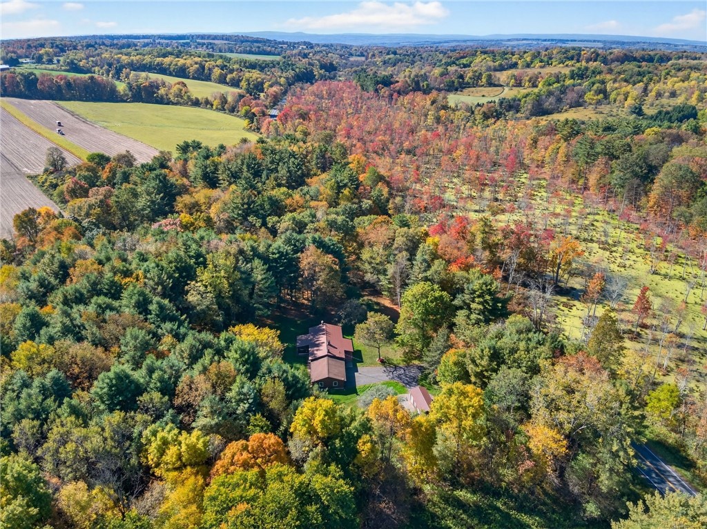 297 Creek Road Lansing, NY 13073 - Photo 30 of 32