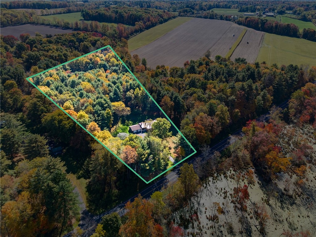 297 Creek Road Lansing, NY 13073 - Photo 31 of 32