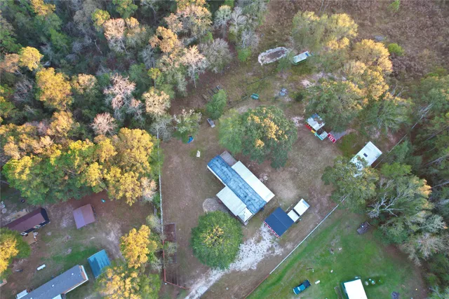 a view of a tree with a tree in front of it
