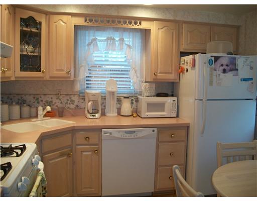 234 Hornaday Road Carrick, PA 15210 - Photo 8 of 18 Kitchen. HOLY COW ! WHAT A GREAT KITCHEN ! FEATURES WHITE WASHED OAK CABINETS,SWANSTONE COUNTERTOPS & NEW LAMINATE WOOD FLOORING. THE WHITE APPLIANCES ARE NOT STAYING. THEY WILL BE REPLACED WITH ALMOND COLOR ONES SHORTLY.