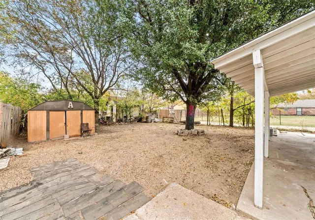 a view of a yard with a tree
