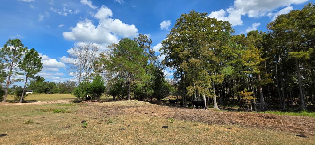 5.8-acres Nobles Road Cottonwood, AL 36320 - Photo 5 of 29