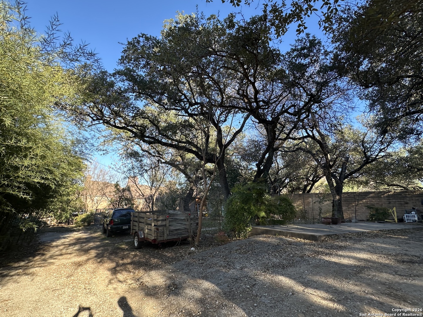 a view of backyard with trees