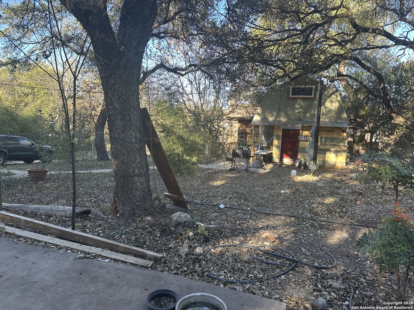 7914 Fredericksburg Road San Antonio, TX 78229 - Photo 4 of 8 a view of a forest with trees