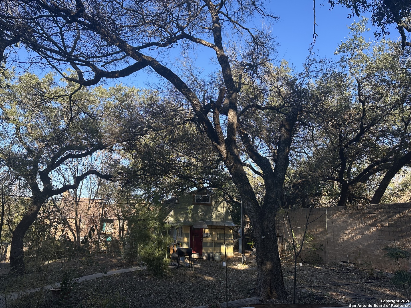 7914 Fredericksburg Road San Antonio, TX 78229 - Photo 6 of 8 a view of a yard with a tree