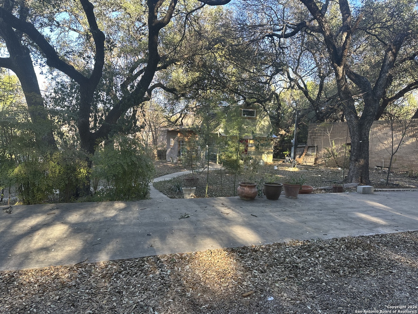 7914 Fredericksburg Road San Antonio, TX 78229 - Photo 7 of 8