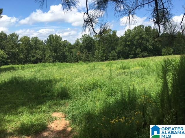 624 County Road, Unit 19 Woodland, AL 36280 - Photo 3 of 6