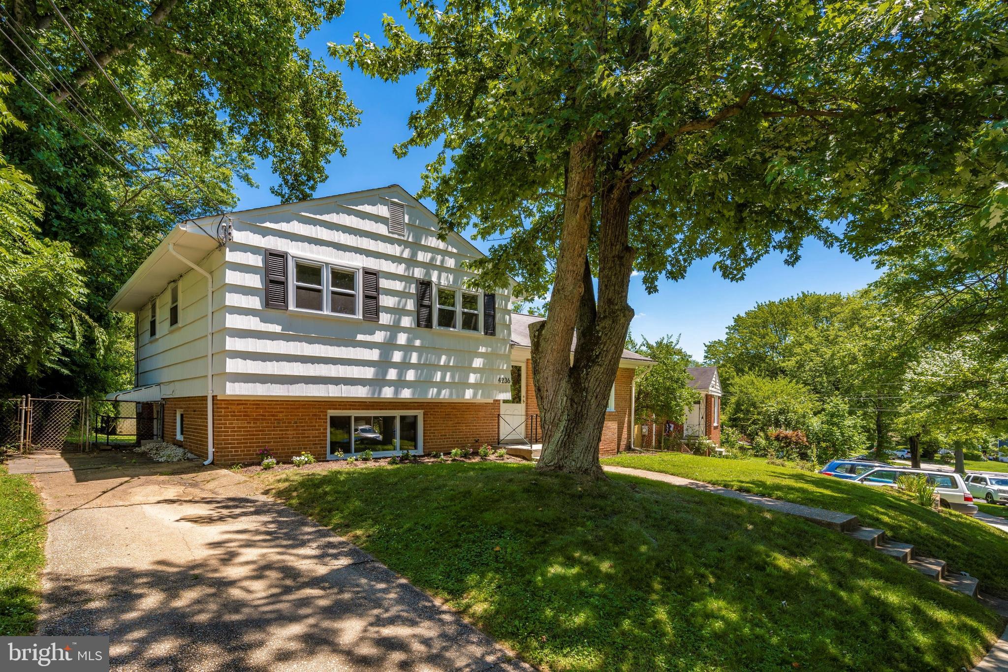 4236 Isbell Street Silver Spring, MD 20906 - Photo 4 of 51 Gallery Image 4