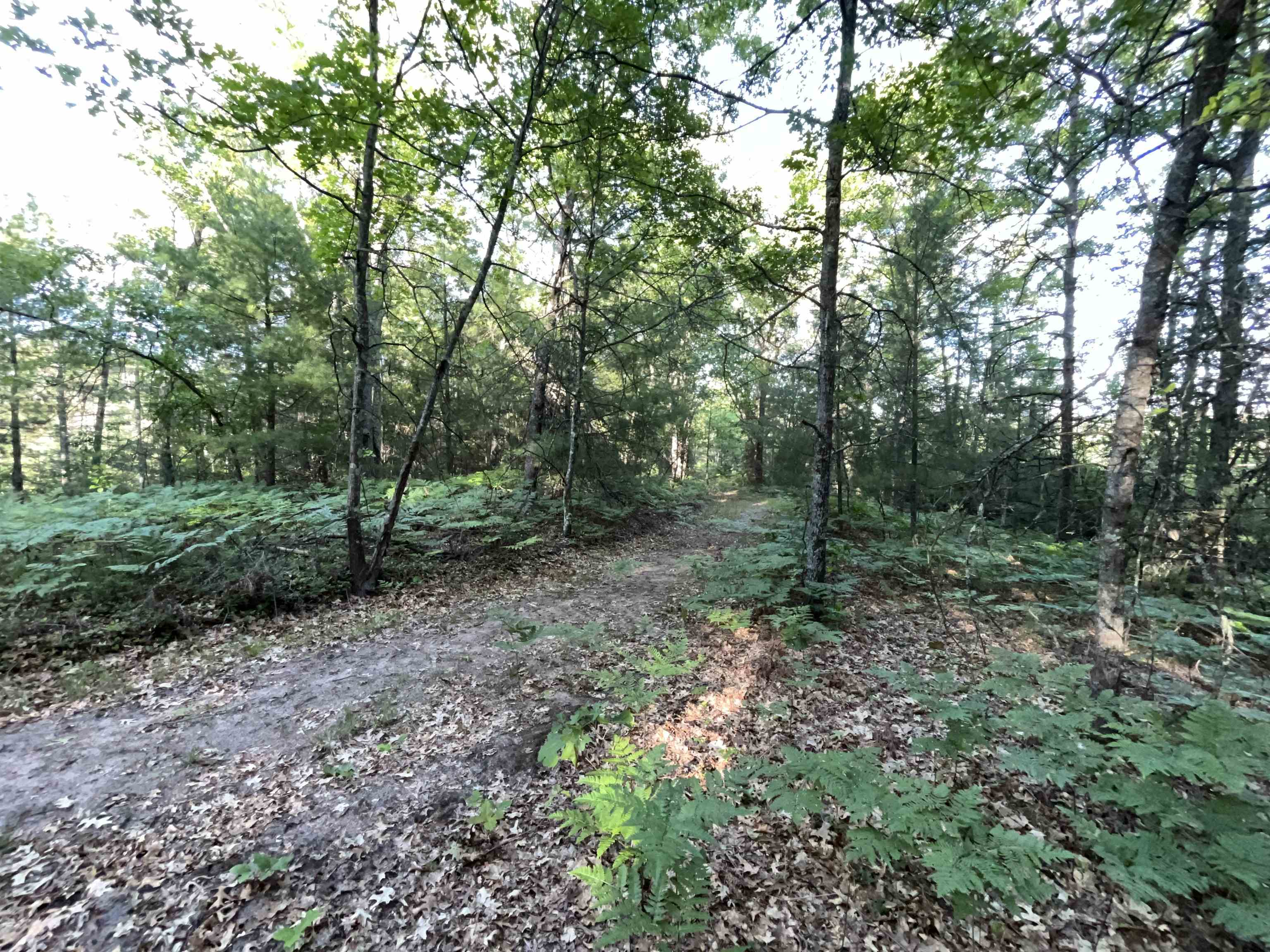 10470 Cedar Road Lake, MI 48632 - Photo 17 of 20