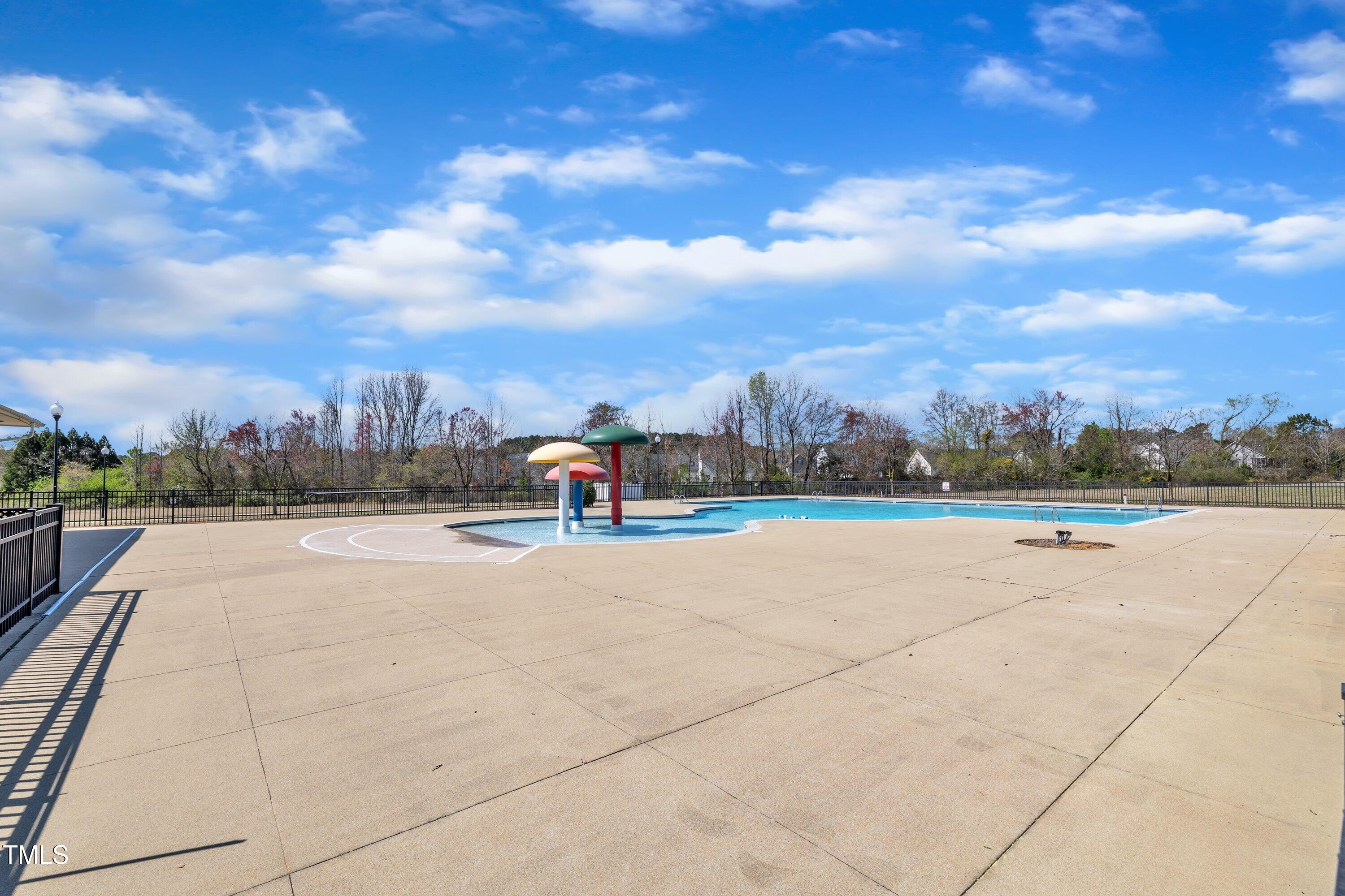 147 Tralee Drive Smithfield, NC 27577 - Photo 42 of 43 a view of swimming pool