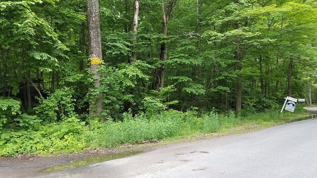 0 Mountain Road Hampden, MA 01036 - Photo 2 of 2