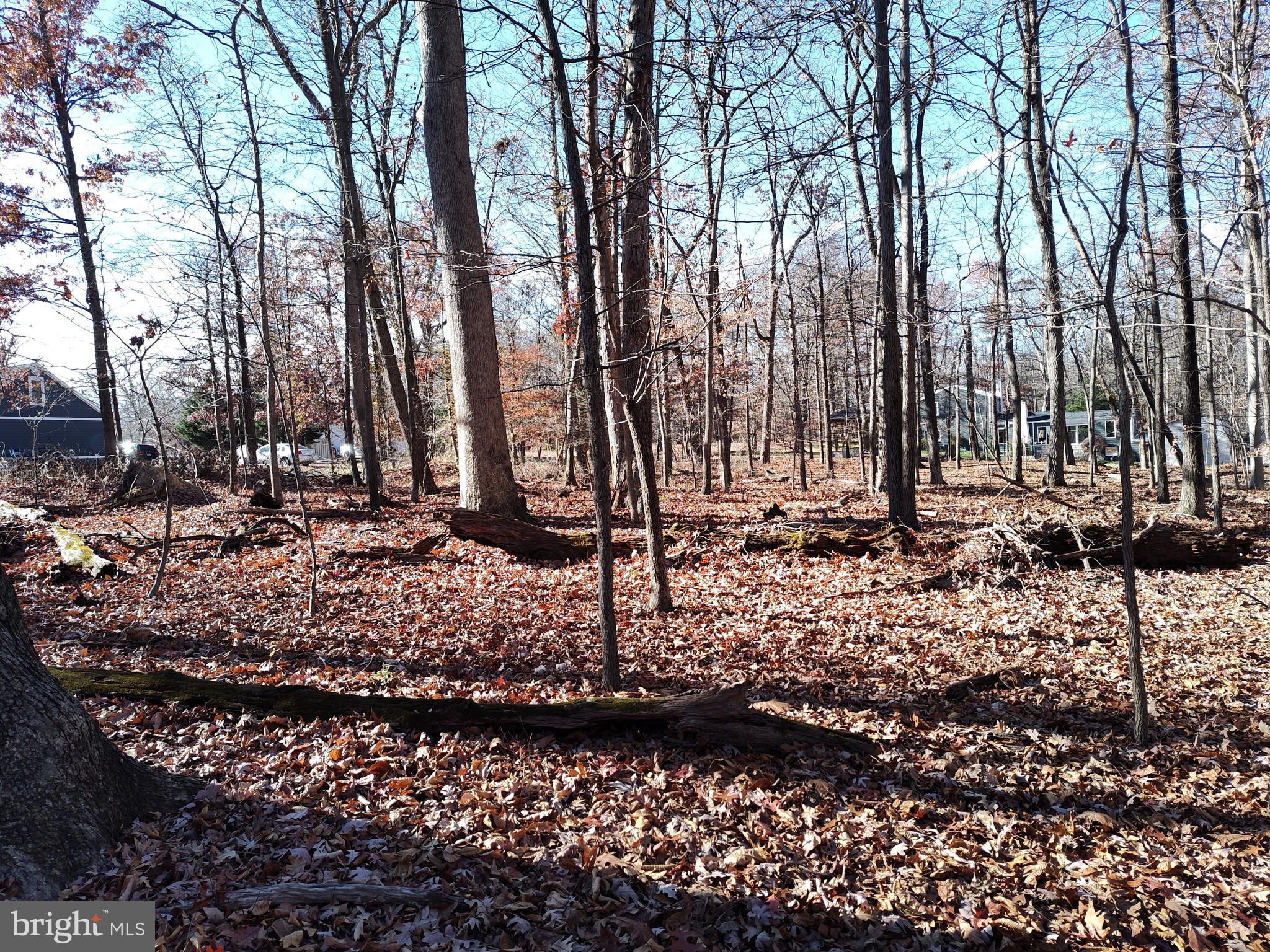 3900 Oaklawn Road Fort Washington, MD 20744 - Photo 6 of 9 Gallery Image 6