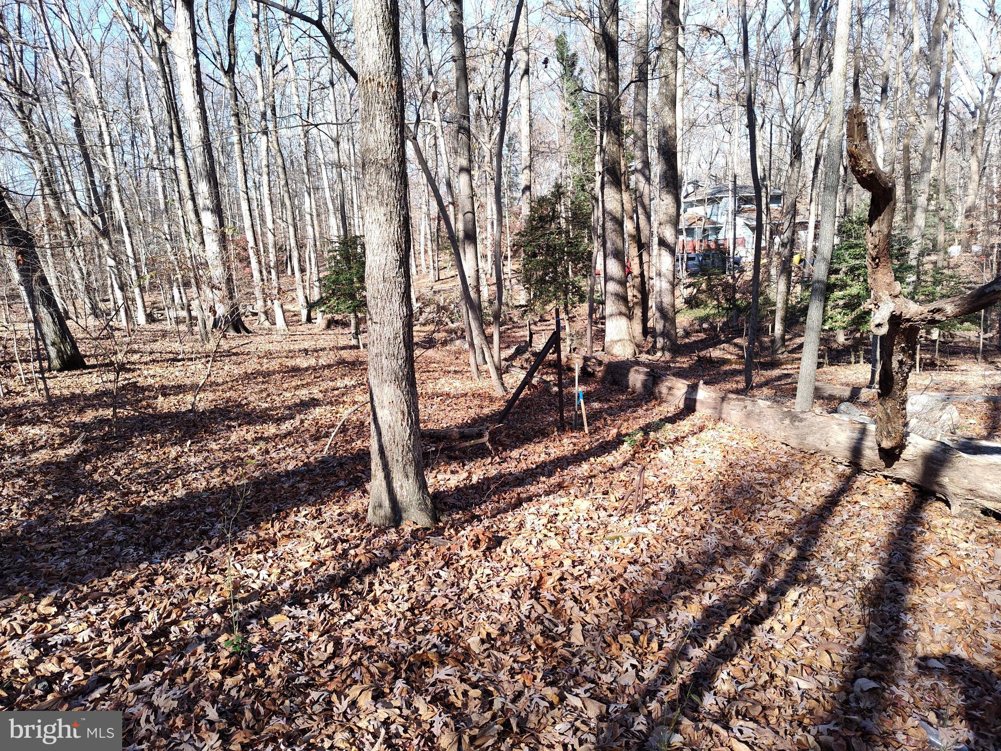 3900 Oaklawn Road Fort Washington, MD 20744 - Photo 7 of 9 Gallery Image 7