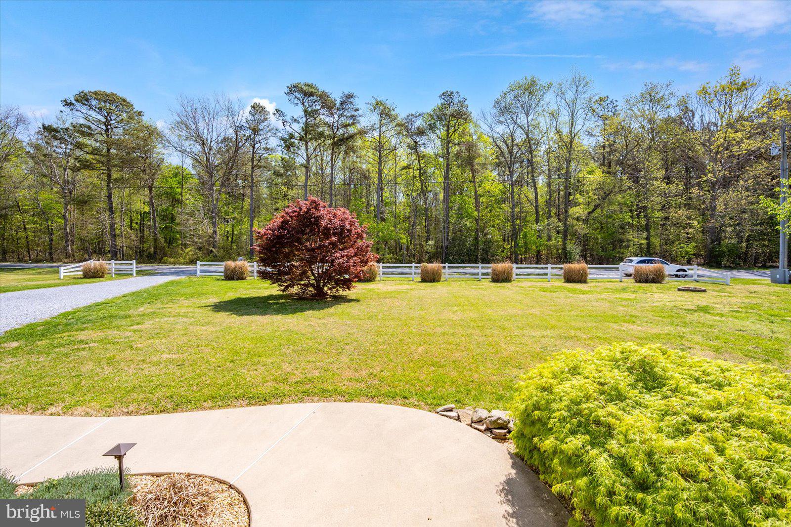 16344 Sand Hill Road Milton, DE 19968 - Photo 15 of 33 Serene landscape with vibrant greenery.