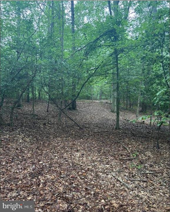 16661 Bald Eagle School Road Brandywine, MD 20613 - Photo 3 of 5 a backyard of a house with lots of green space