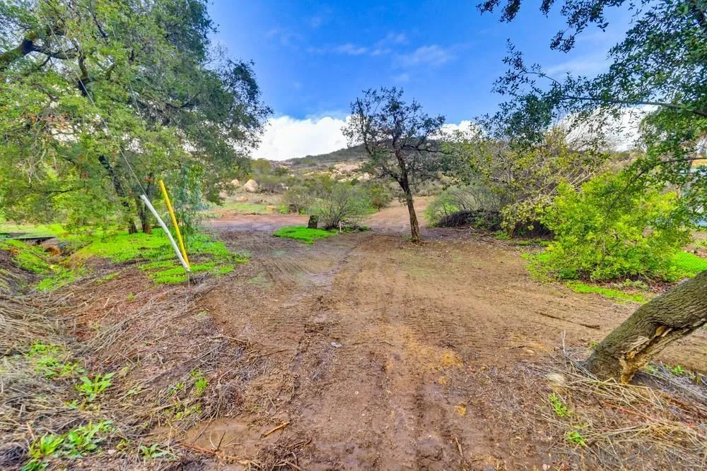 15751 Lyons Valley Road Jamul, CA 91935 - Photo 58 of 59 a view of a yard with a tree