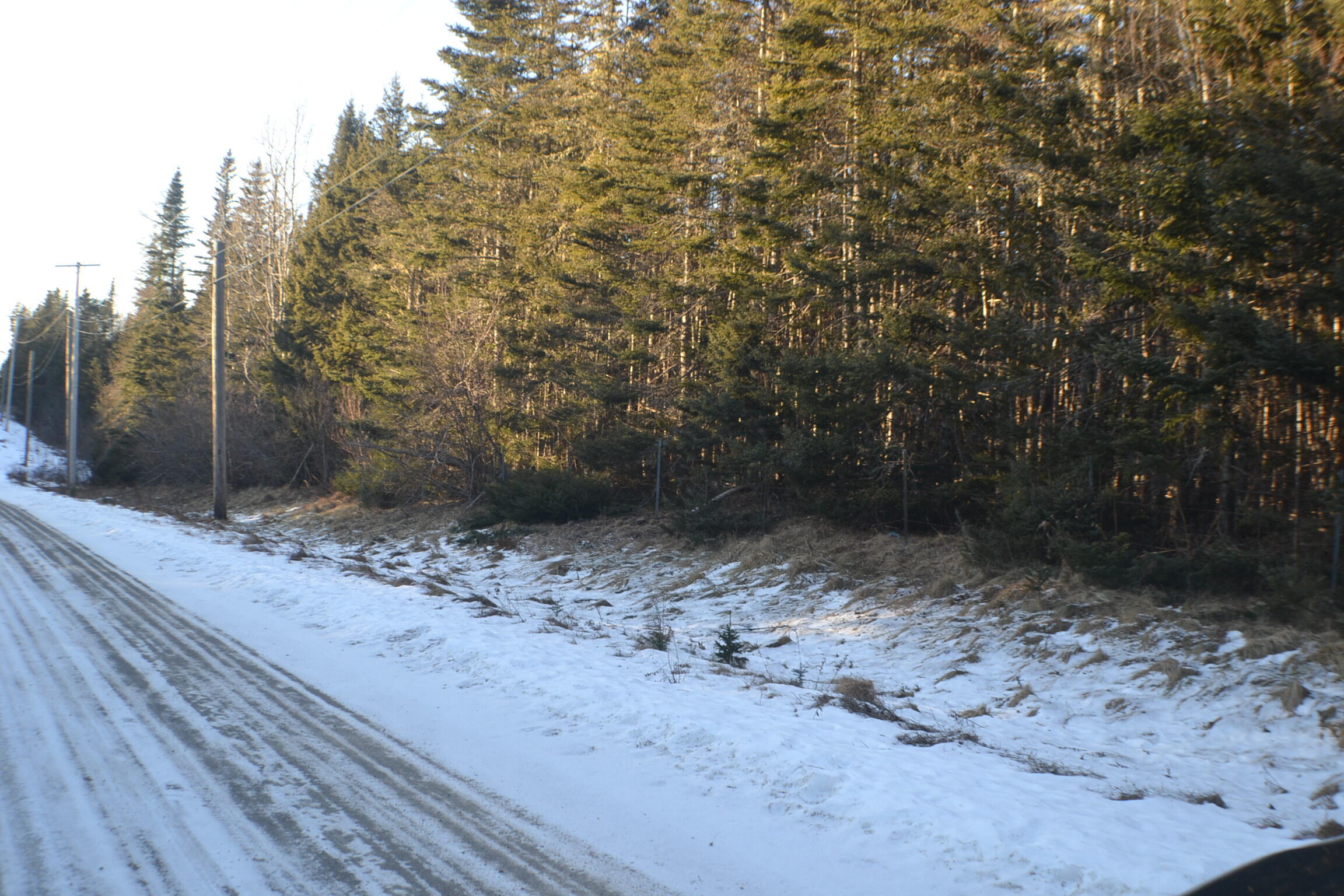 0 Cutler Road Cutler, ME 04626 - Photo 2 of 10 DSC_0003