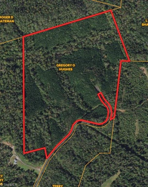 0 Hancock Road Sandy Ridge, NC 27046 - Photo 1 of 12