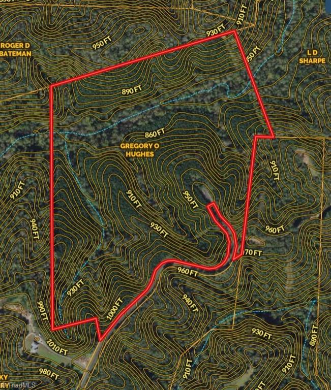 0 Hancock Road Sandy Ridge, NC 27046 - Photo 2 of 12