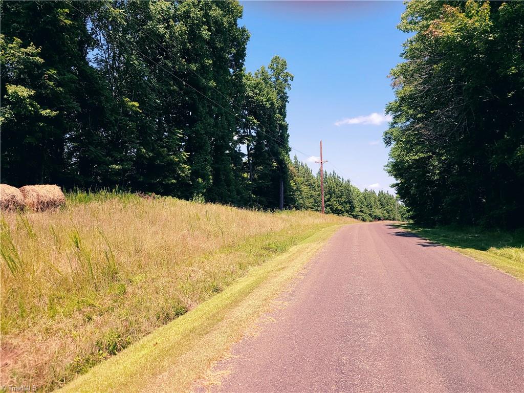 0 Hancock Road Sandy Ridge, NC 27046 - Photo 11 of 12