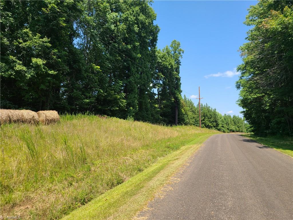0 Hancock Road Sandy Ridge, NC 27046 - Photo 12 of 12